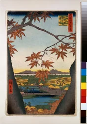 Maple Trees at Mama, Tekona Shrine, and Linked Bridge
