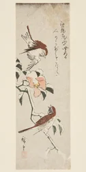 Sparrows and Camellia in Snow