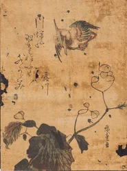 Study of Bird and Plant