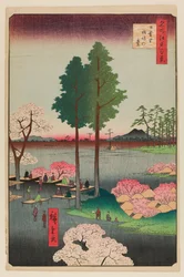 Suwa Bluff, Nippori