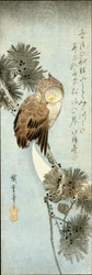The Crescent Moon and Owl Perched on Pine Branches