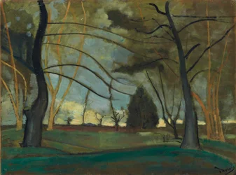 The Park