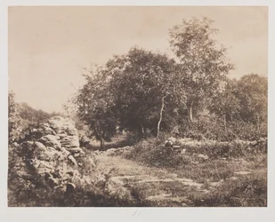 Untitled Scene of Fontainebleau