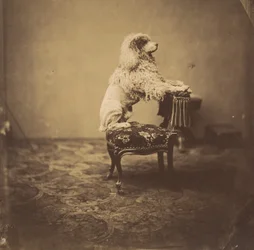 Empress Eugénie