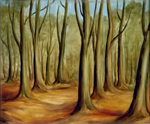 The Forest of Fontainebleau