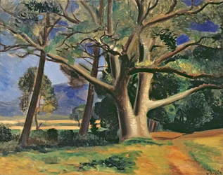 The Big Tree