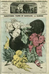 Carrots, Panes and Radicals
