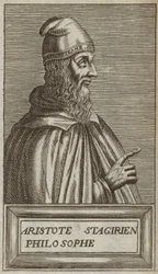 Aristotle of Stageira