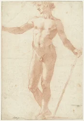 Standing Male Nude Model