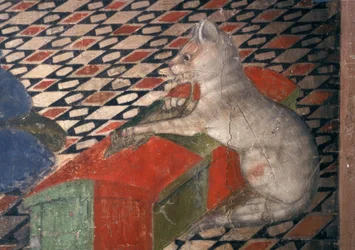 Cathedral of Atri, Cat
