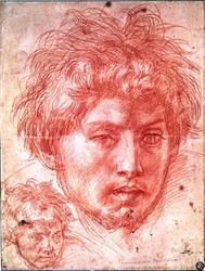 Head of a Man