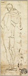 Standing Male Nude