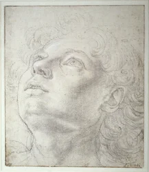 Head of an Angel