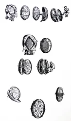The Plates from the Fifth Book of the De Humani Corporis Fabrica