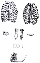 The Plates from the First Book of the De Humani Corporis Fabrica