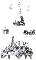 The Plates from the Second Book of the De Humani Corporis Fabrica