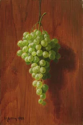 Grapes (Green)