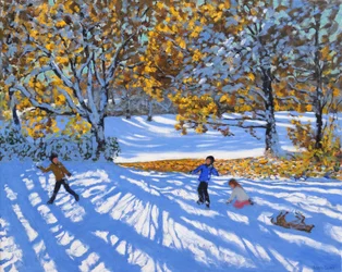 Early Snow, Allestree Park