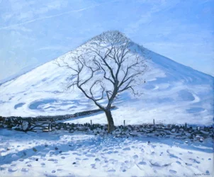 Hill and Tree, Derbyshire, 2008