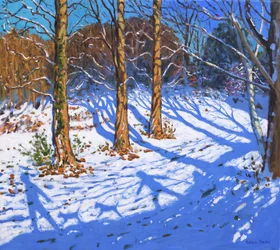 November snow, Allestree Park, Derby