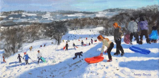 The Red Sledge, Allestree Park, Derby, 2016