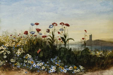 Ferry Carrig Castle, Co. Wexford, Seen Through a Bank of Wild Flowers