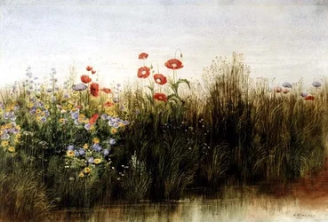 Wild Flowers by a Stream