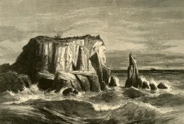 Coast Scene, Marin County, 1872