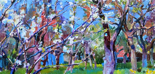 Spring Forest Scene With Blossoming Trees