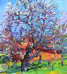 Spring Tree in Bloom