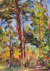Sunlit Pine Forest