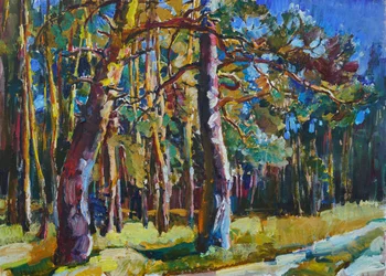 Sunlit Pine Forest Path