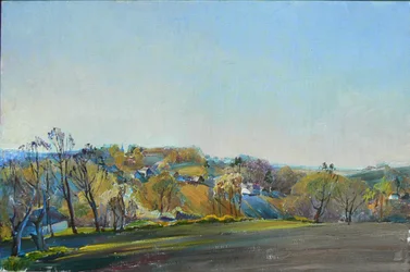 Sunny Spring Hills