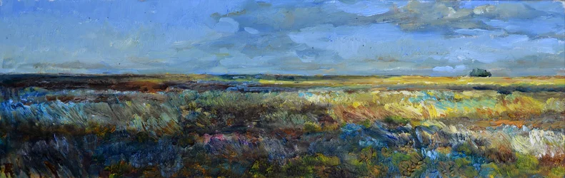 Vast Prairie Landscape