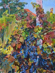 Vibrant Autumn Vineyard