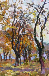 Vibrant Autumn Woods