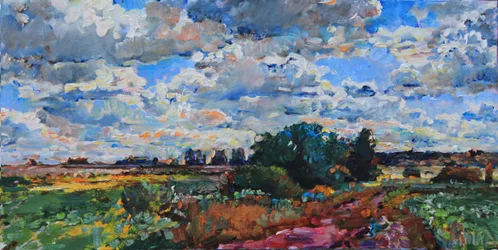 Vibrant Country Fields