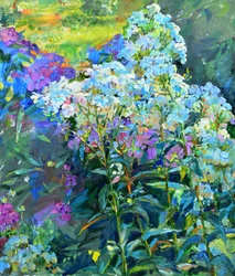 Vibrant Garden Phlox