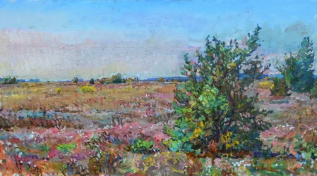 Vibrant Heather Landscape