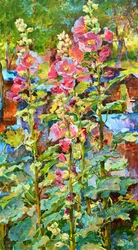Vibrant Hollyhock Garden