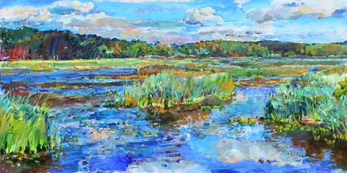 Vibrant Marsh Landscape