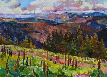 Vibrant Mountain Vista
