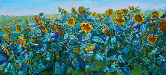 Vibrant Sunflower Field