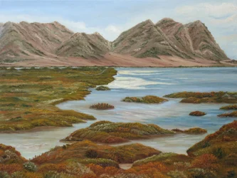 Autumn Mountain Wetlands