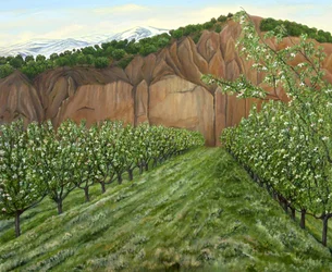 Blooming Orchard Valley