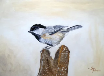 Chickadee On Wood Stump
