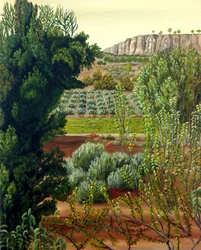 Cultivated Valley Cliff View