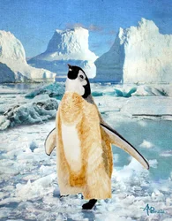 Curious Penguin Antarctic Ice