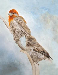 Finches On A Branch