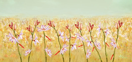 Golden Field Blooms